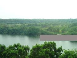 Upper Serangoon View (Hougang), HDB 3 Rooms #210110671
